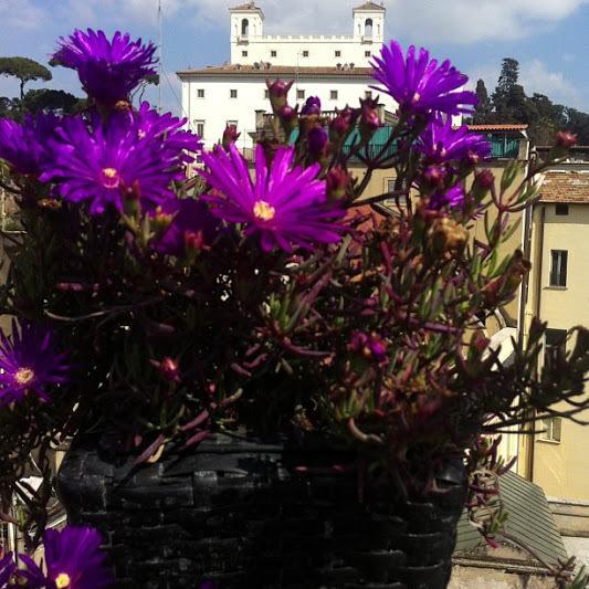 Domus Valeria Guest house 5*