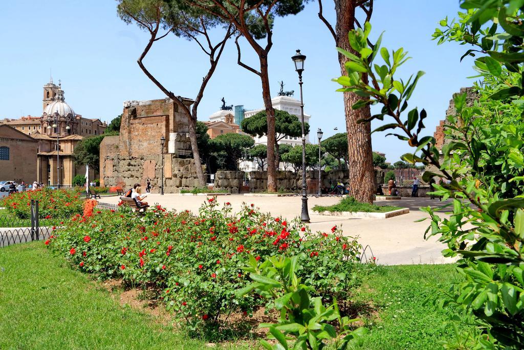 Design Apartment Paulina 300 Mt From Colosseum Apartment