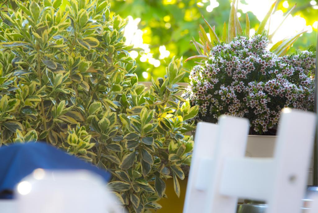 Casa Martini Bed & Breakfast Roma