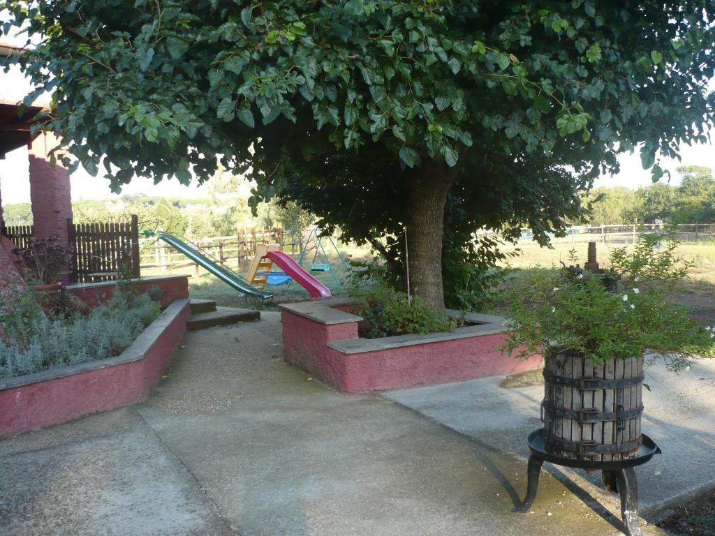 Il Baffetto Bed & Breakfast Rome