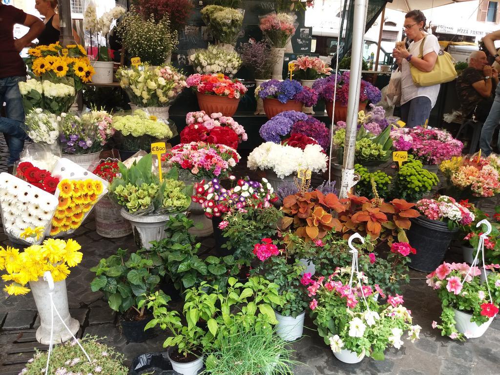 Campofiori Appartamento