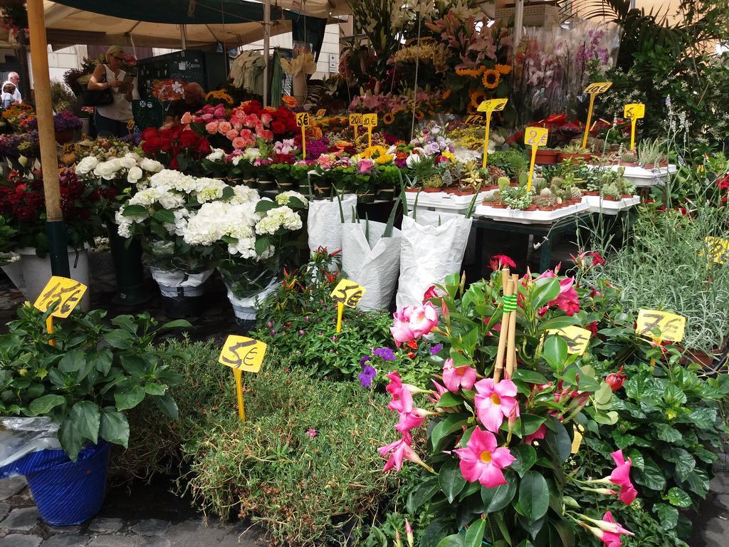 Appartamento Campofiori