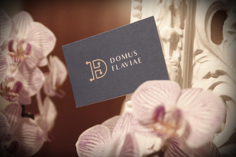 Domus Flaviae Guest house
