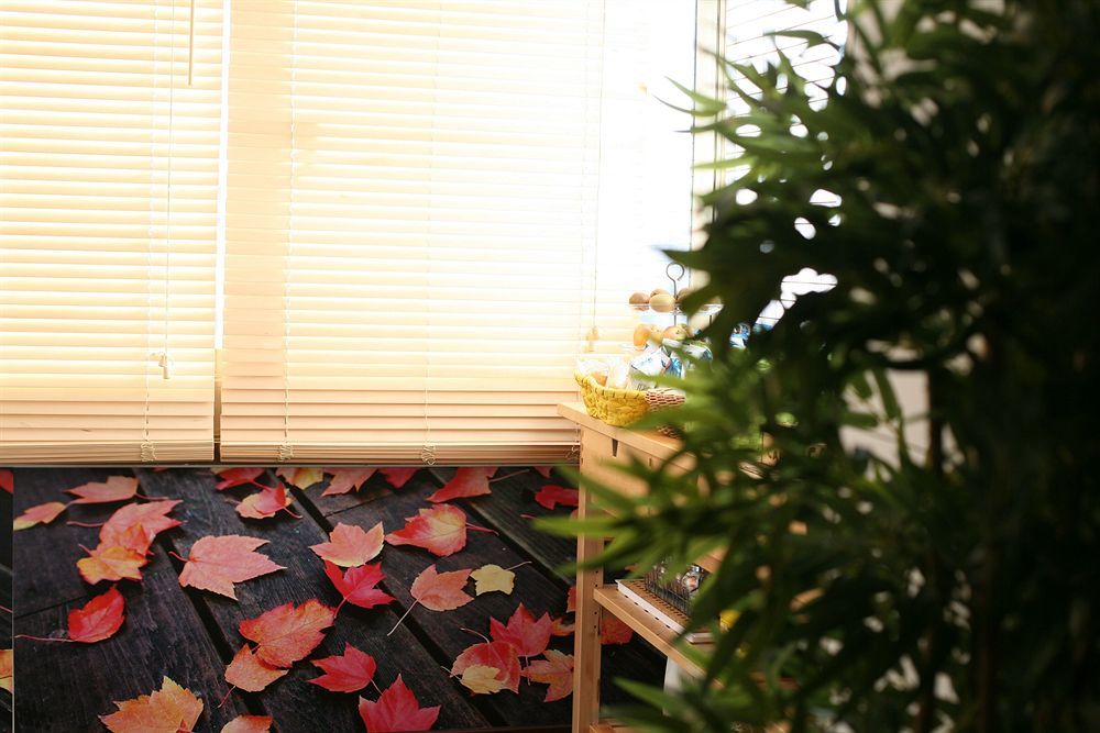 Bamboo B&B Bed & Breakfast Rome
