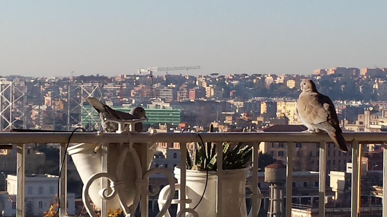 Guest house Trastevere 2 2*
