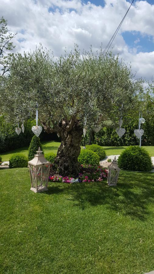 Bed & Breakfast Sant'alessandro Rome