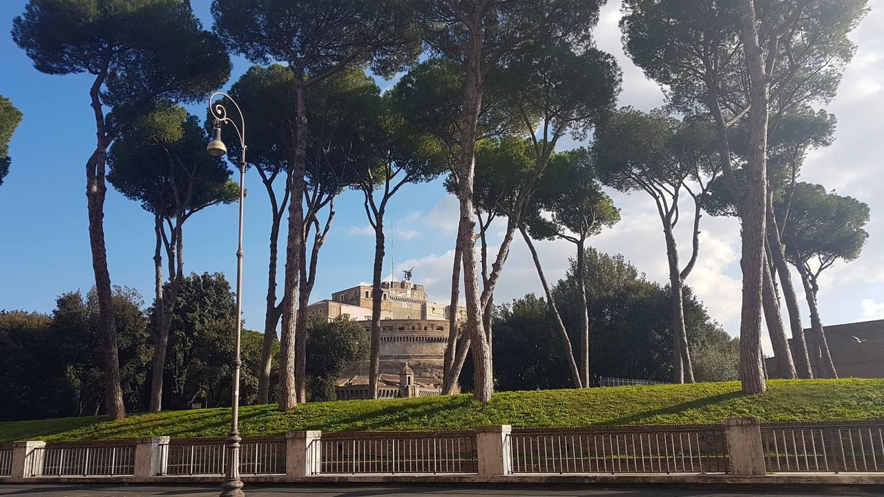 Civico 7 * Roma