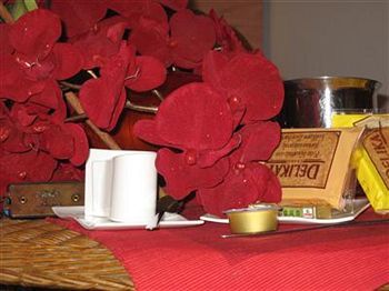 Bed & Breakfast Hold - Luxury 2*