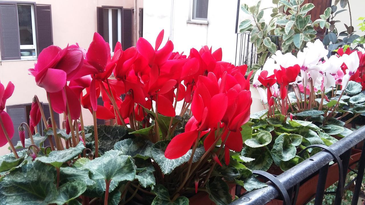 Appartamento Lilium House Aventino