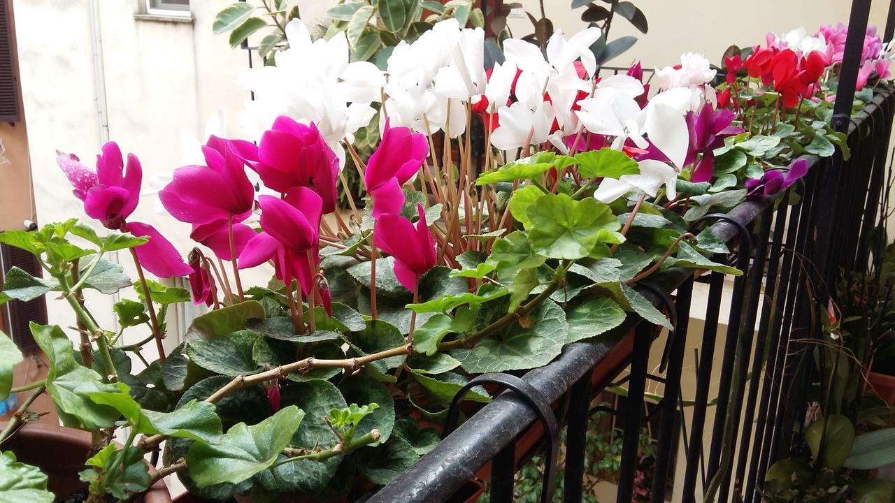 Appartamento Lilium House Aventino