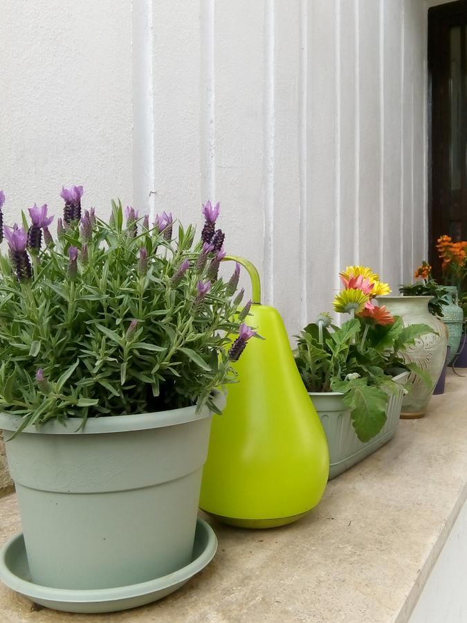 Bed & Breakfast Aquarius Rome Rome