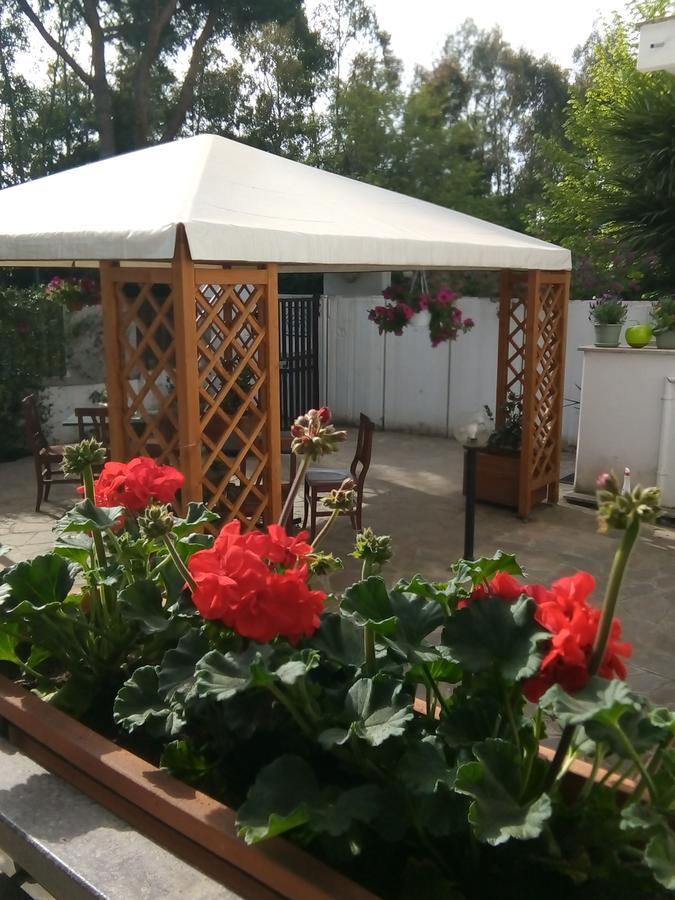 Bed & Breakfast Aquarius Rome Rome