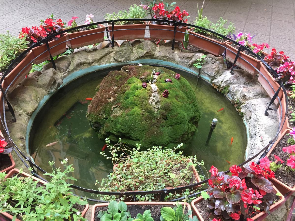 Bed & Breakfast Blue Whale Roma