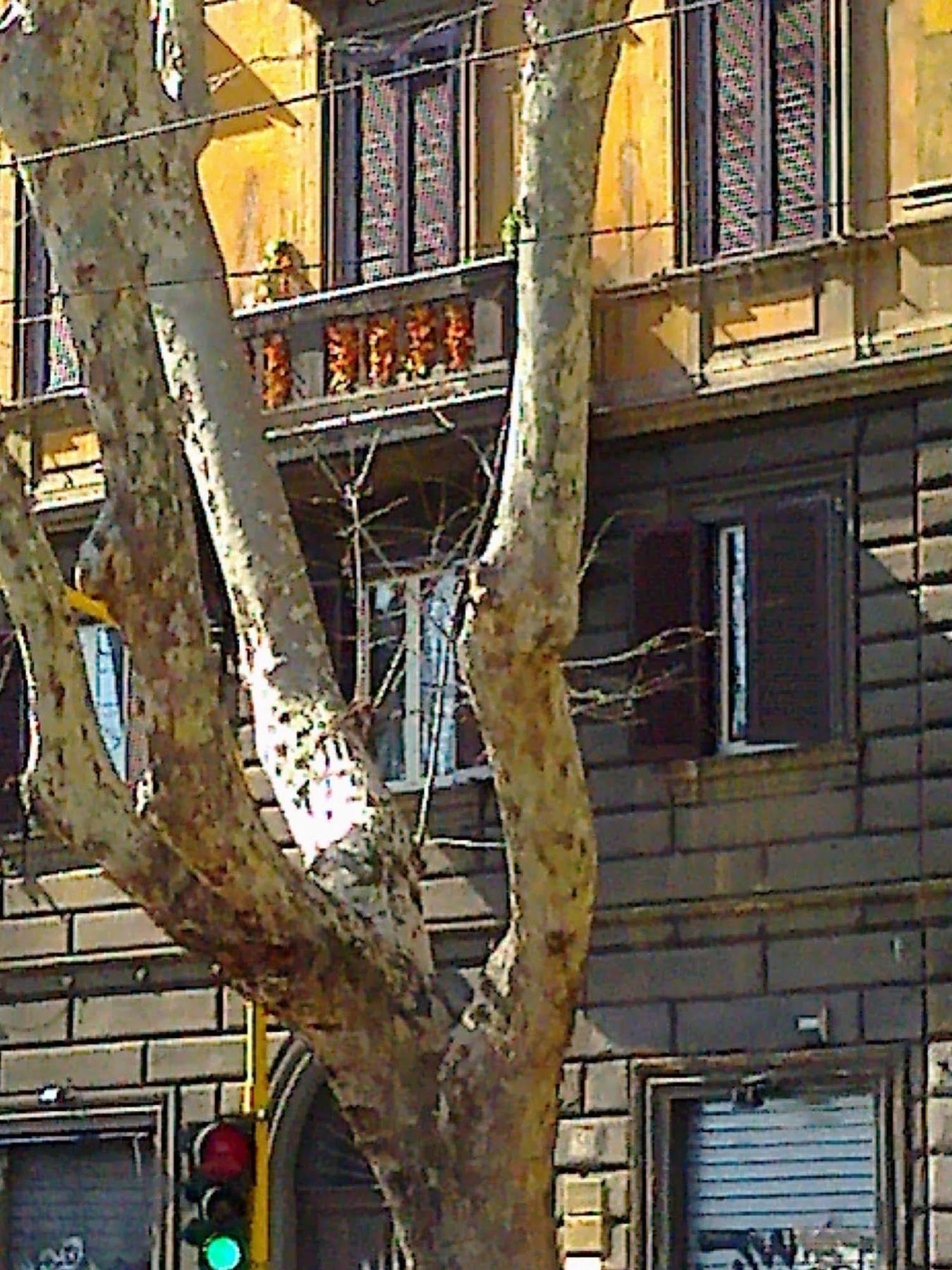 Guest house Al 138 Town House 3*