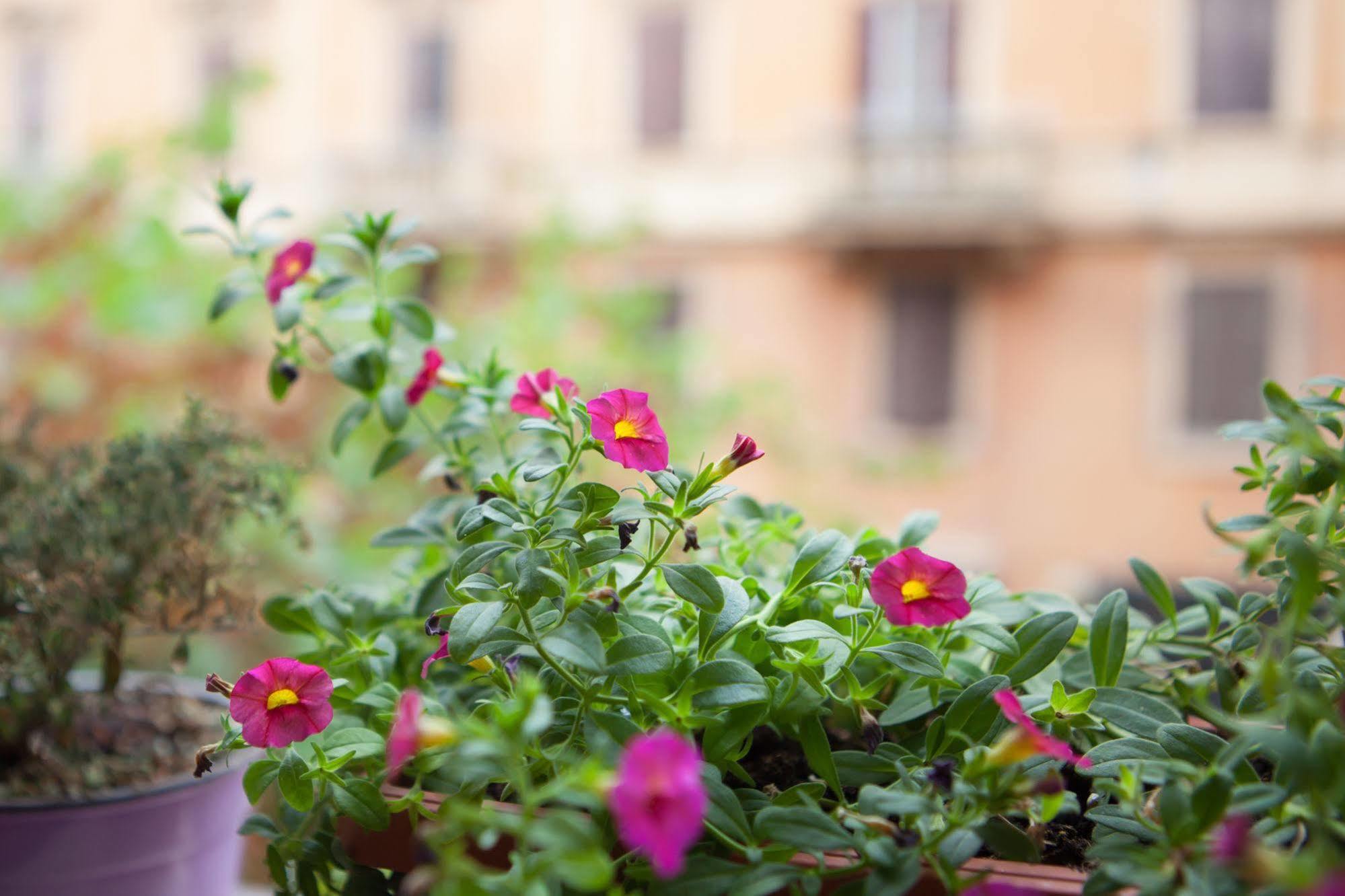Bed & Breakfast Vatican's Keys 3*