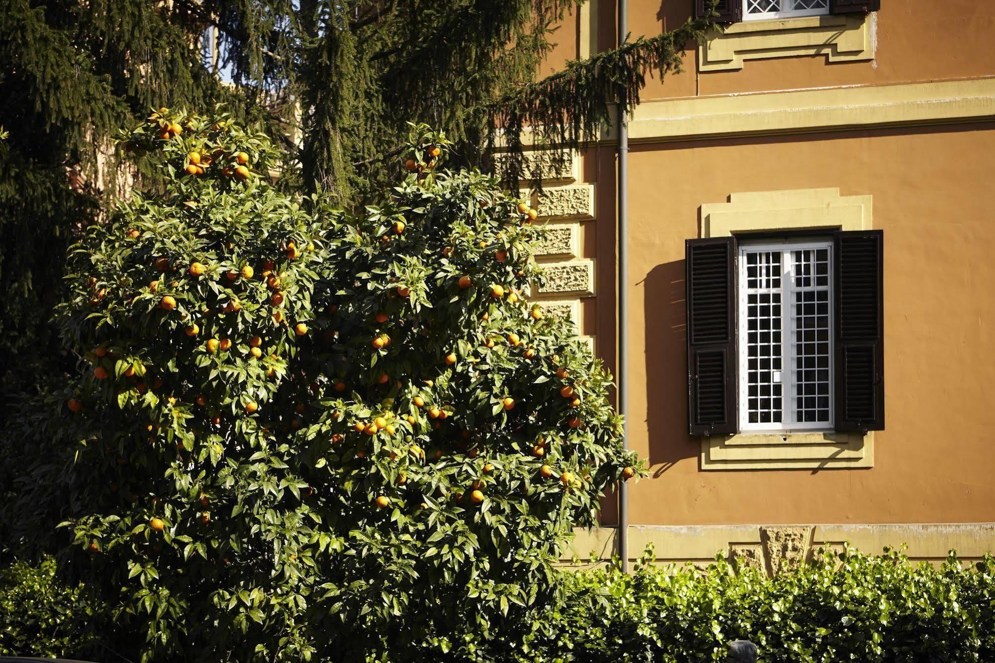 21 Aprile House Bed & Breakfast Rome