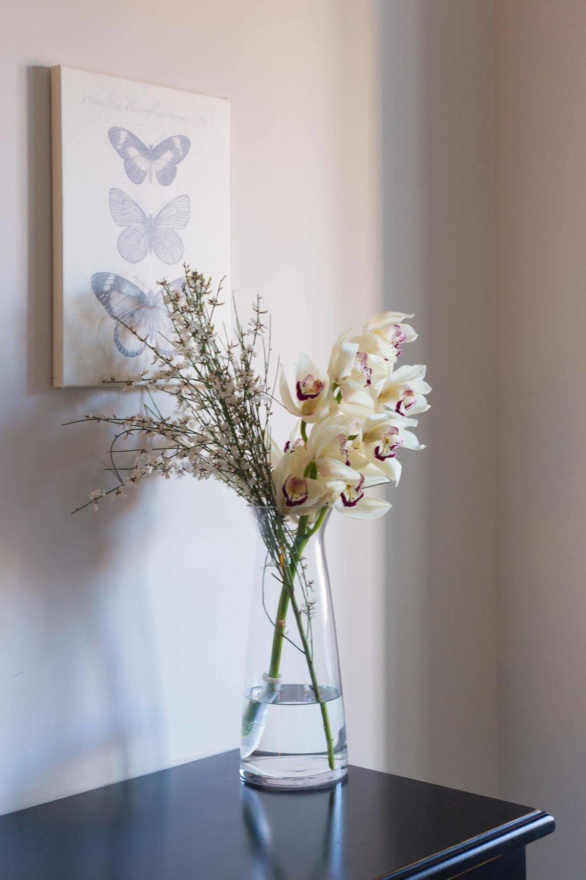 Bed & Breakfast Residenza Scipioni Luxury Roma