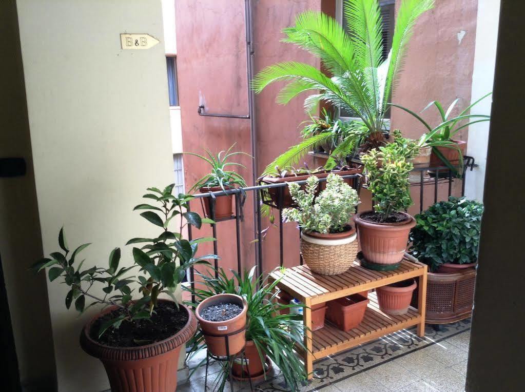 Guest house Julius Caesar 183