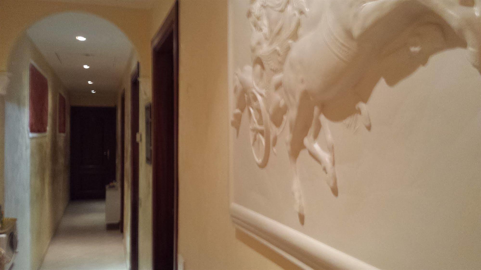 Cosmos Guest house