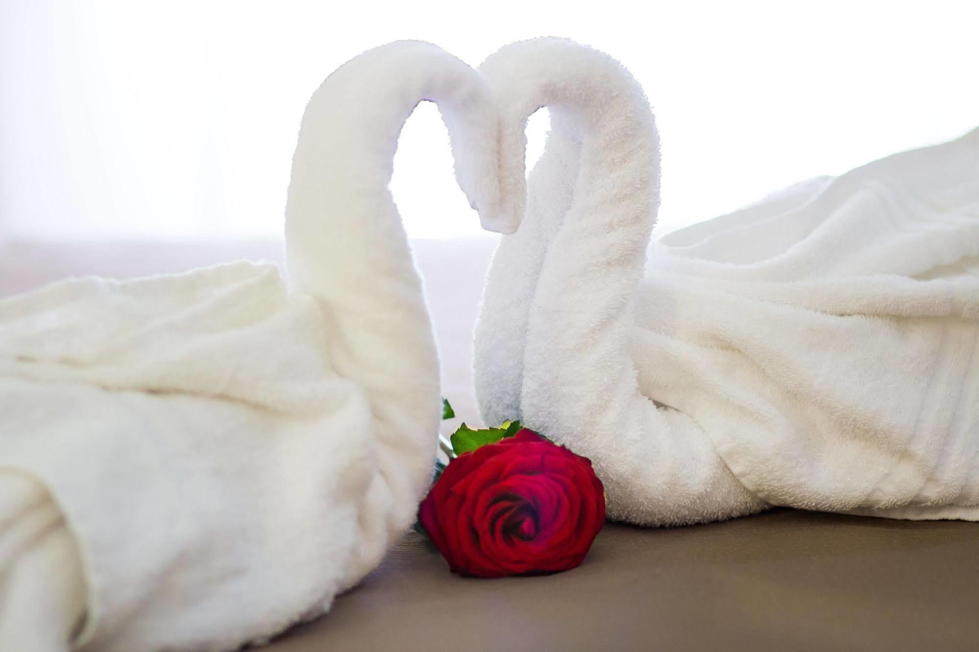 Bed & Breakfast Gardenia Rome