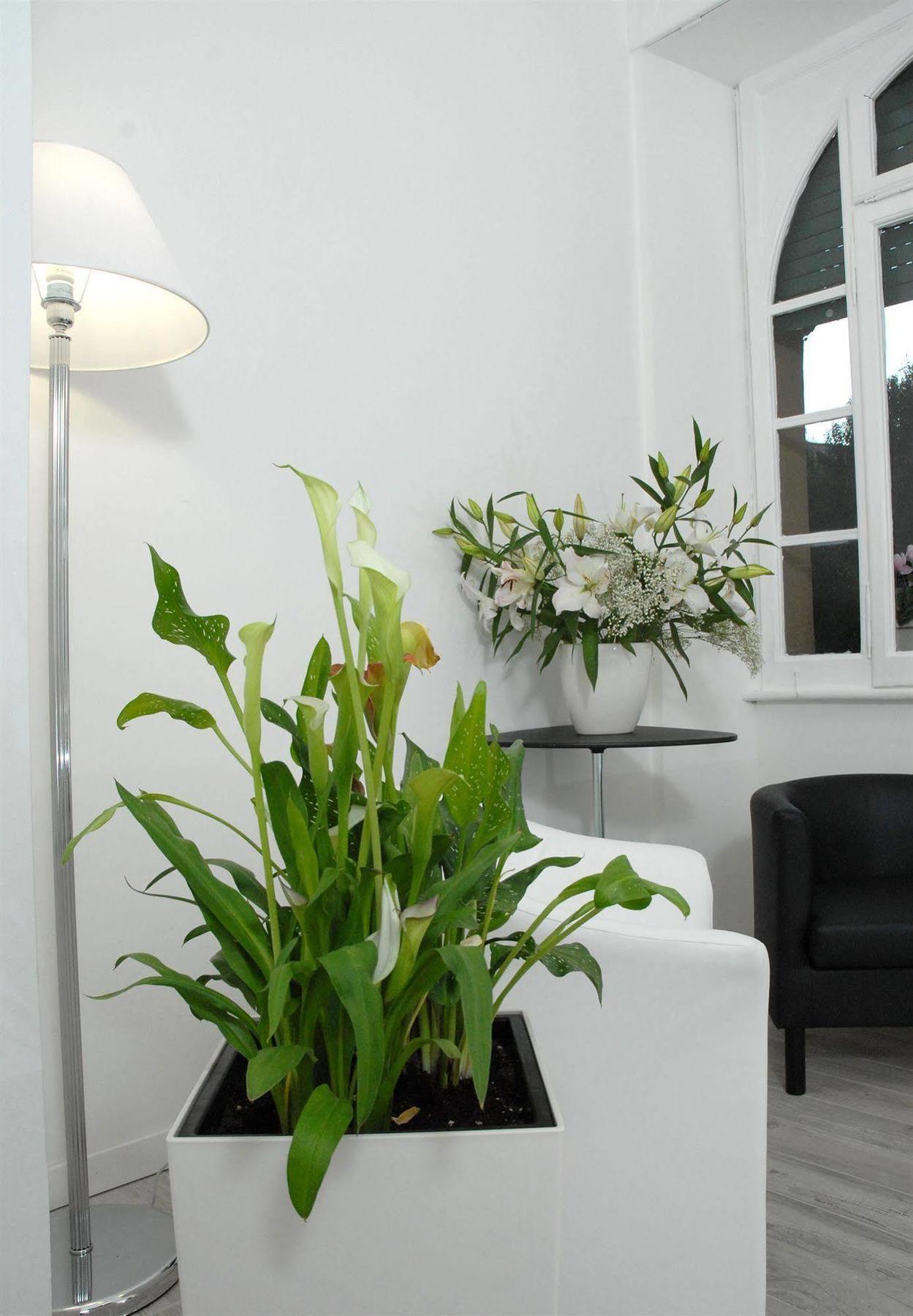 Gardenia Rome