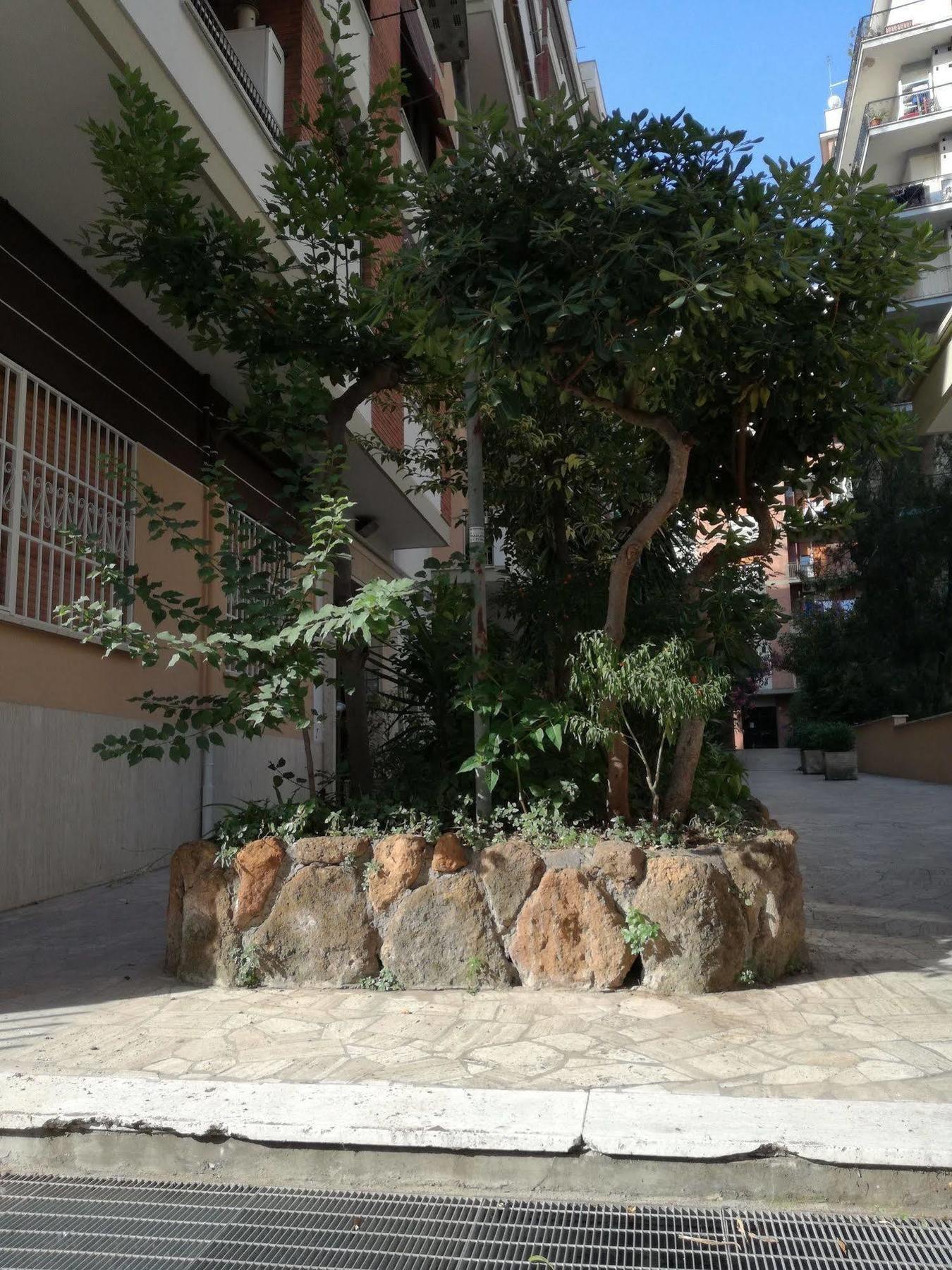 Bed & Breakfast Testa Gioacchino