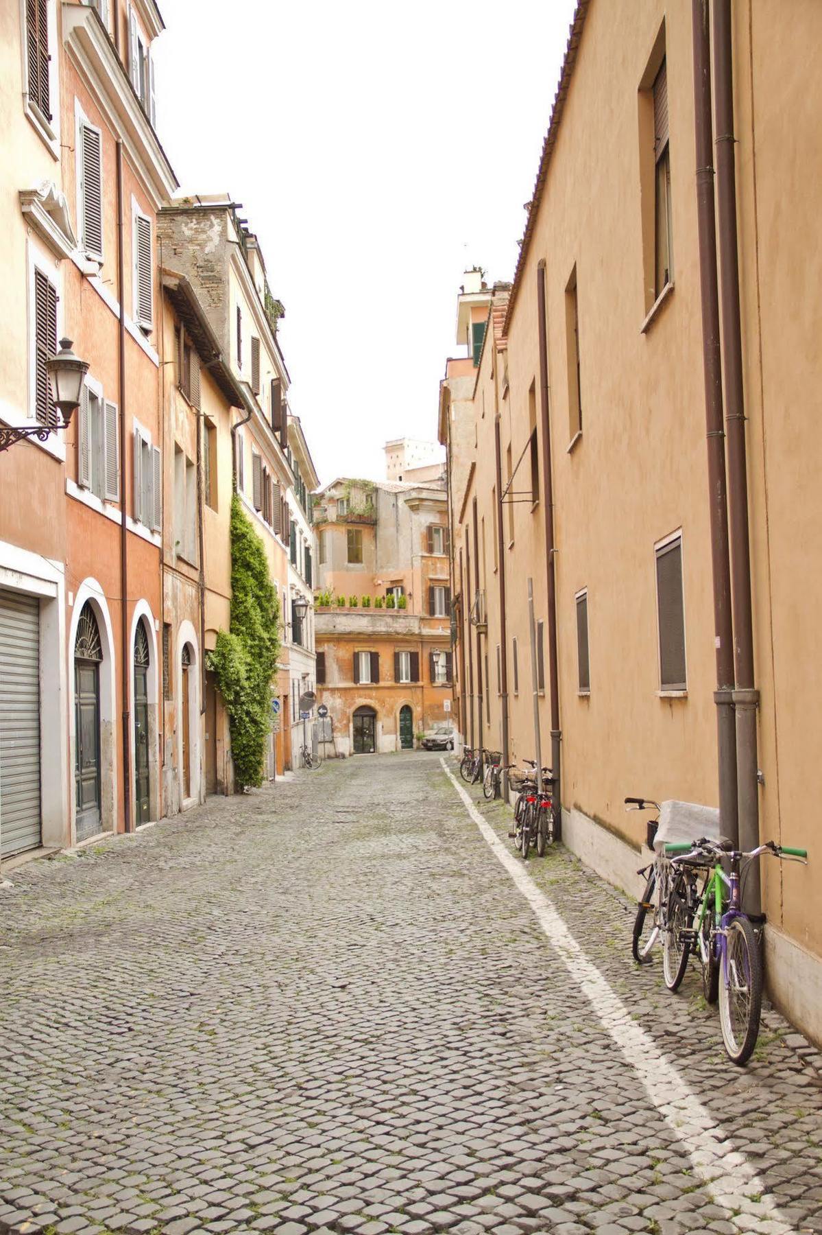 Elegant Behind The Colosseum Rome