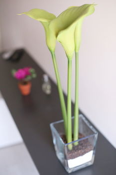 Iris Guest house Rome