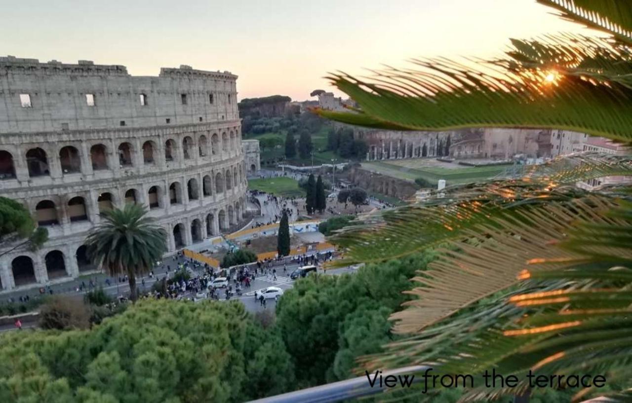 Colosseum Palace Star Guest house