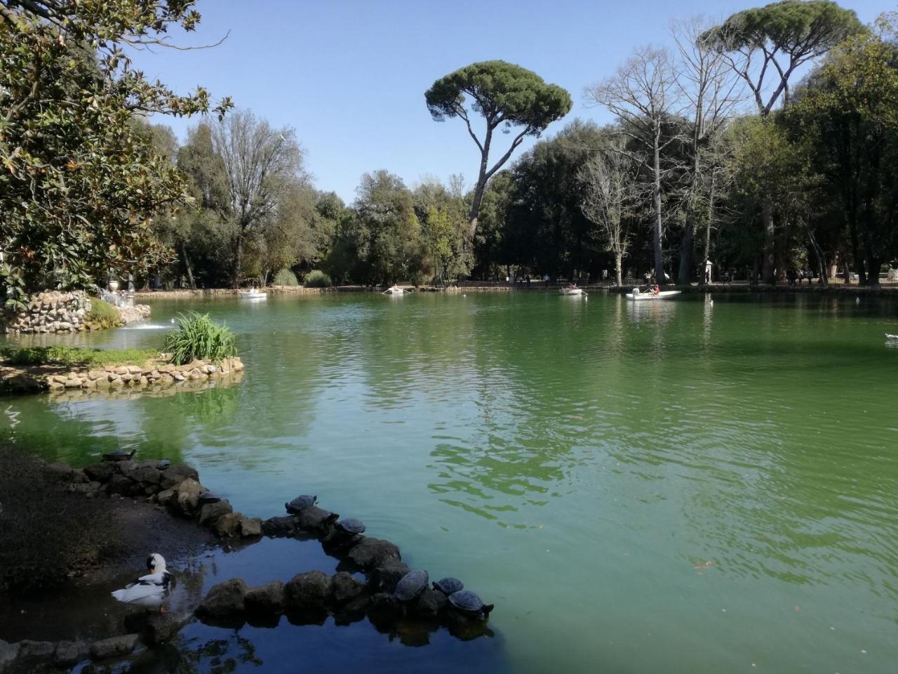 Guest house Borghese Rome