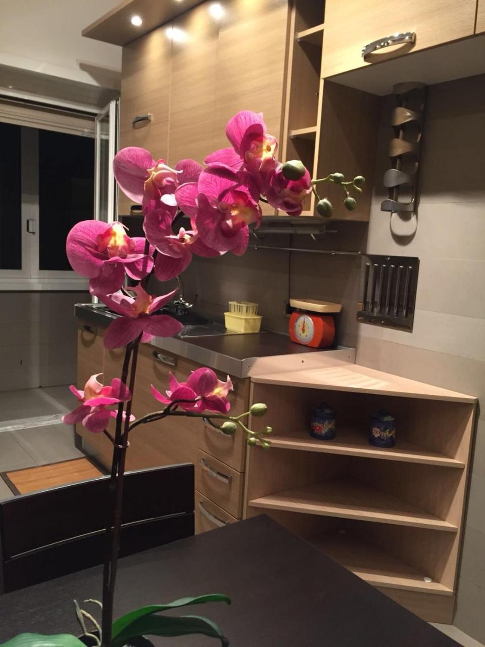 Smart House - Ammiragli2 * Roma