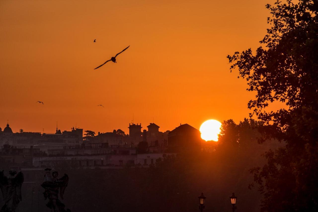 Affittacamere Otto & Photogallery Roma