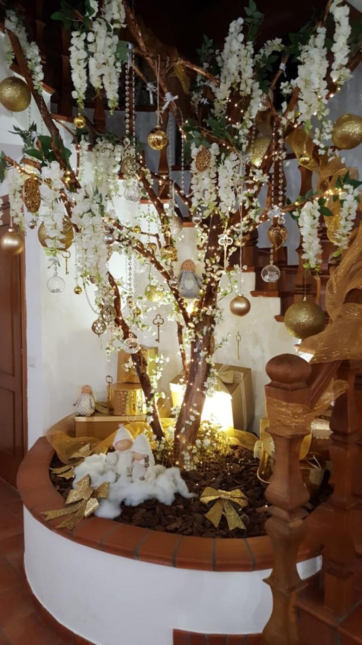 Bed & Breakfast Sant'alessandro Rome