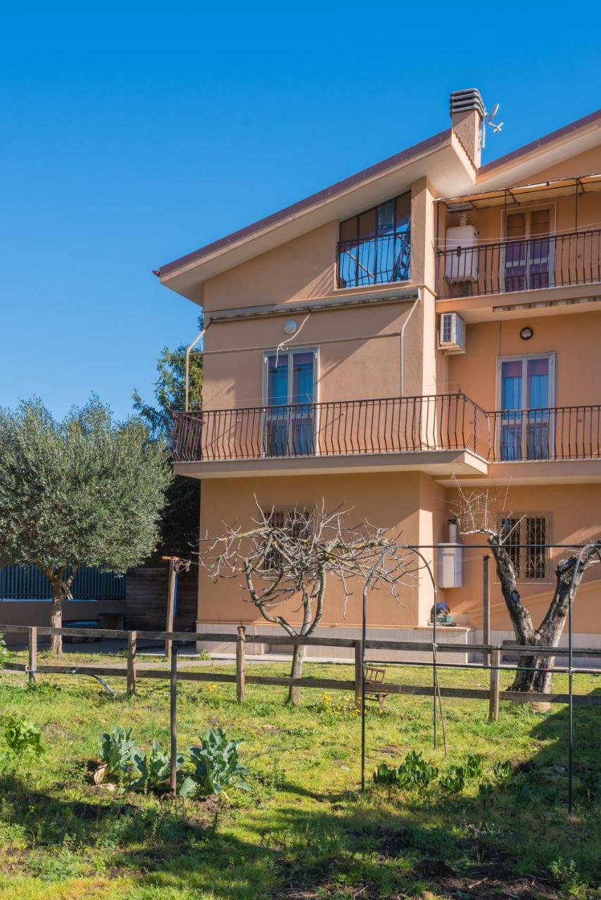 Guest house Travelershome Ciampino&Morena Guesthouse