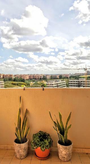 Apartment Porta Di *