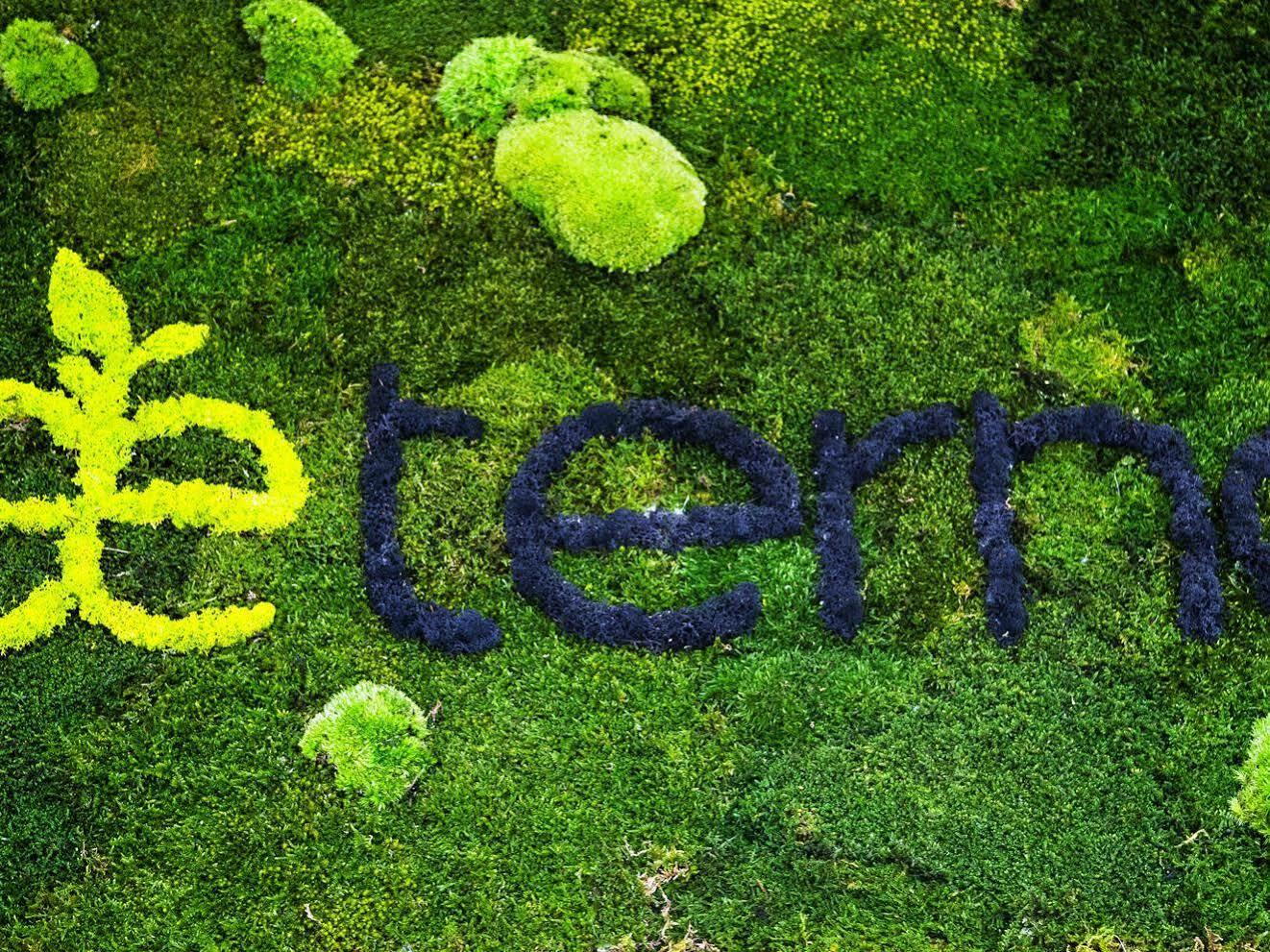 Affittacamere Aeterno Eco 3*
