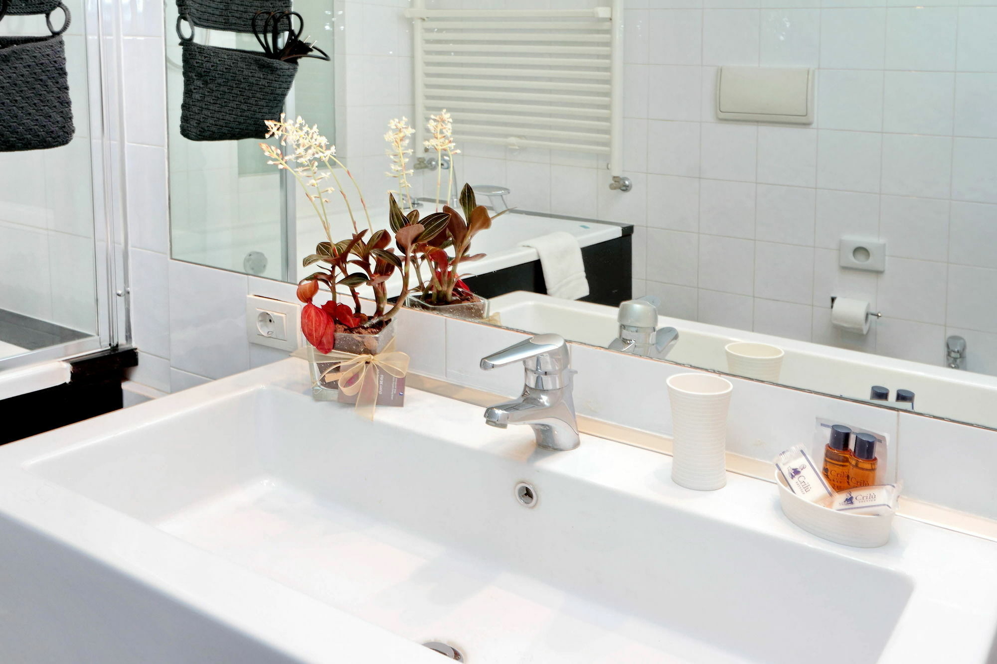 Relais Incantesimo Vaticano Guest house 2*