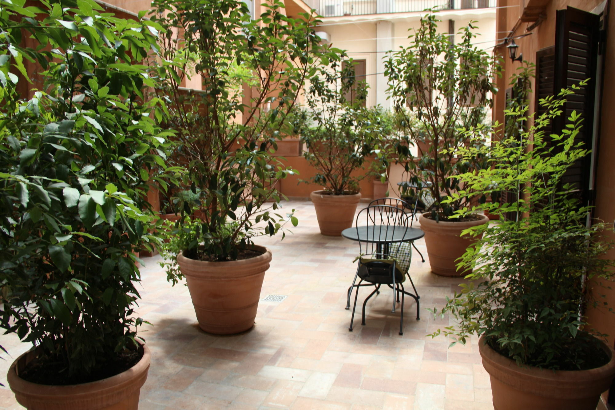 Ingrami And 3* Roma