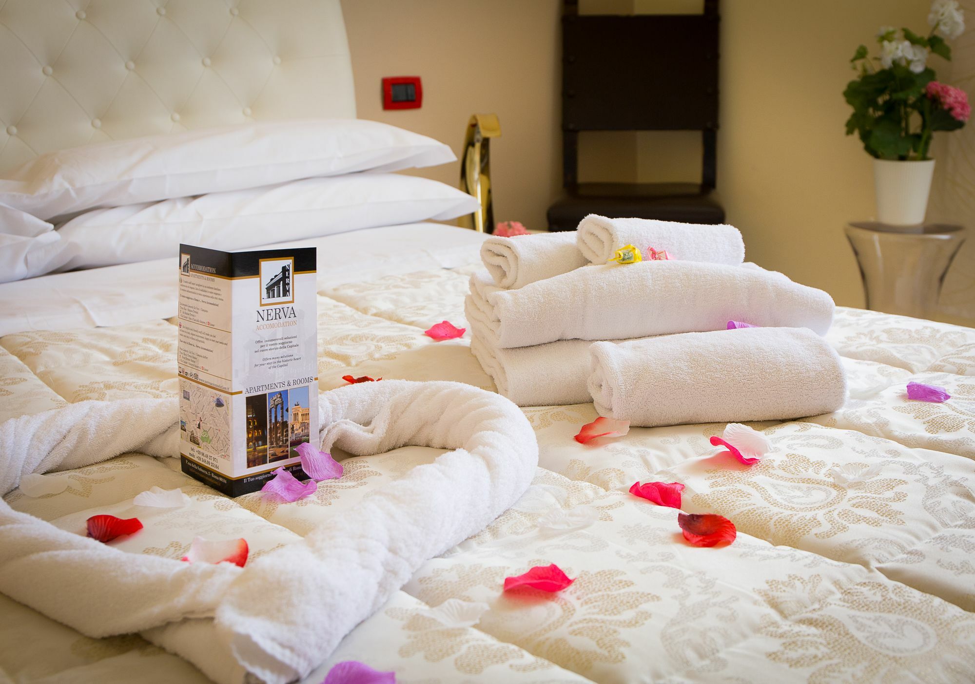 Nerva Guest house 3*