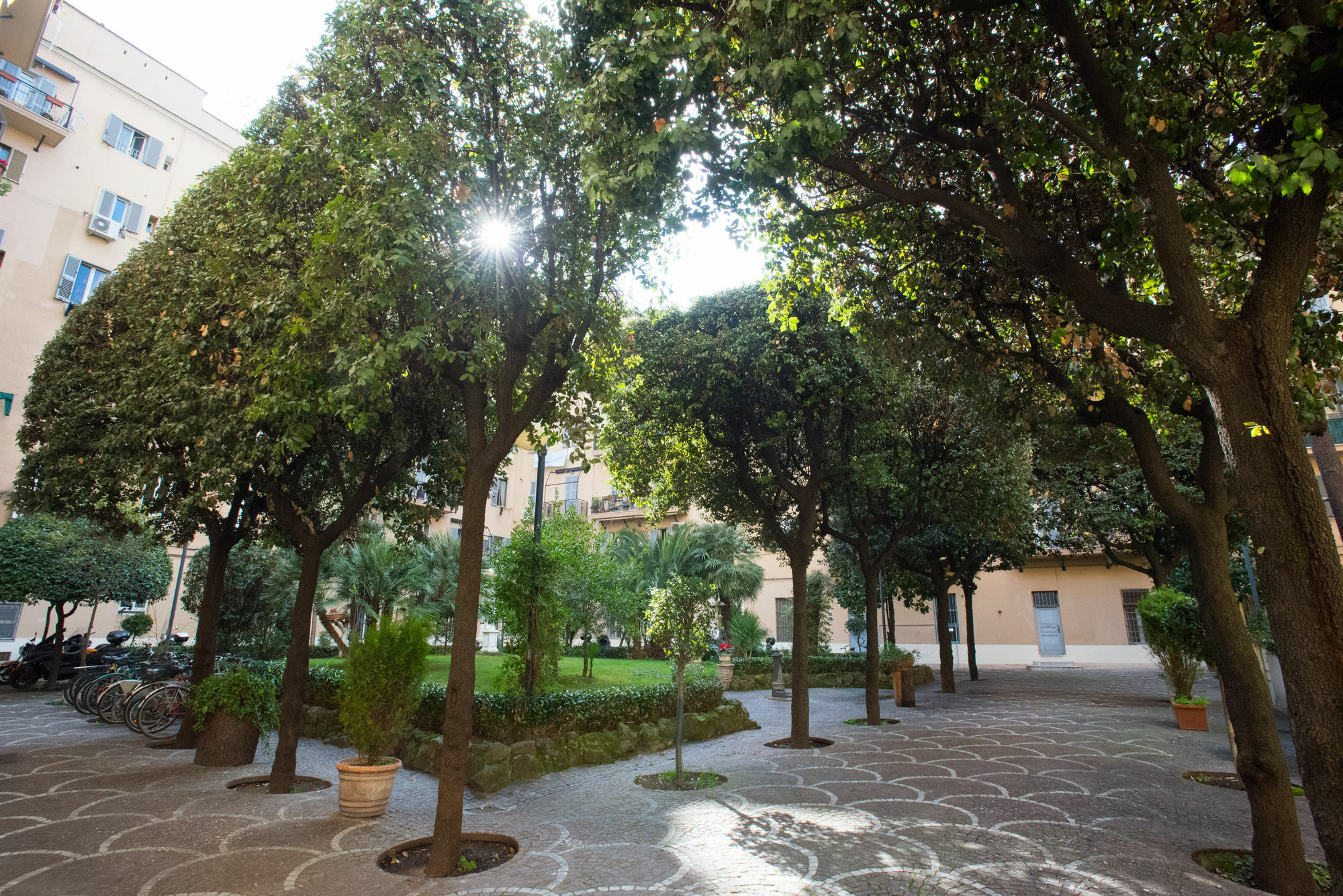 Quo Vadis Guest house