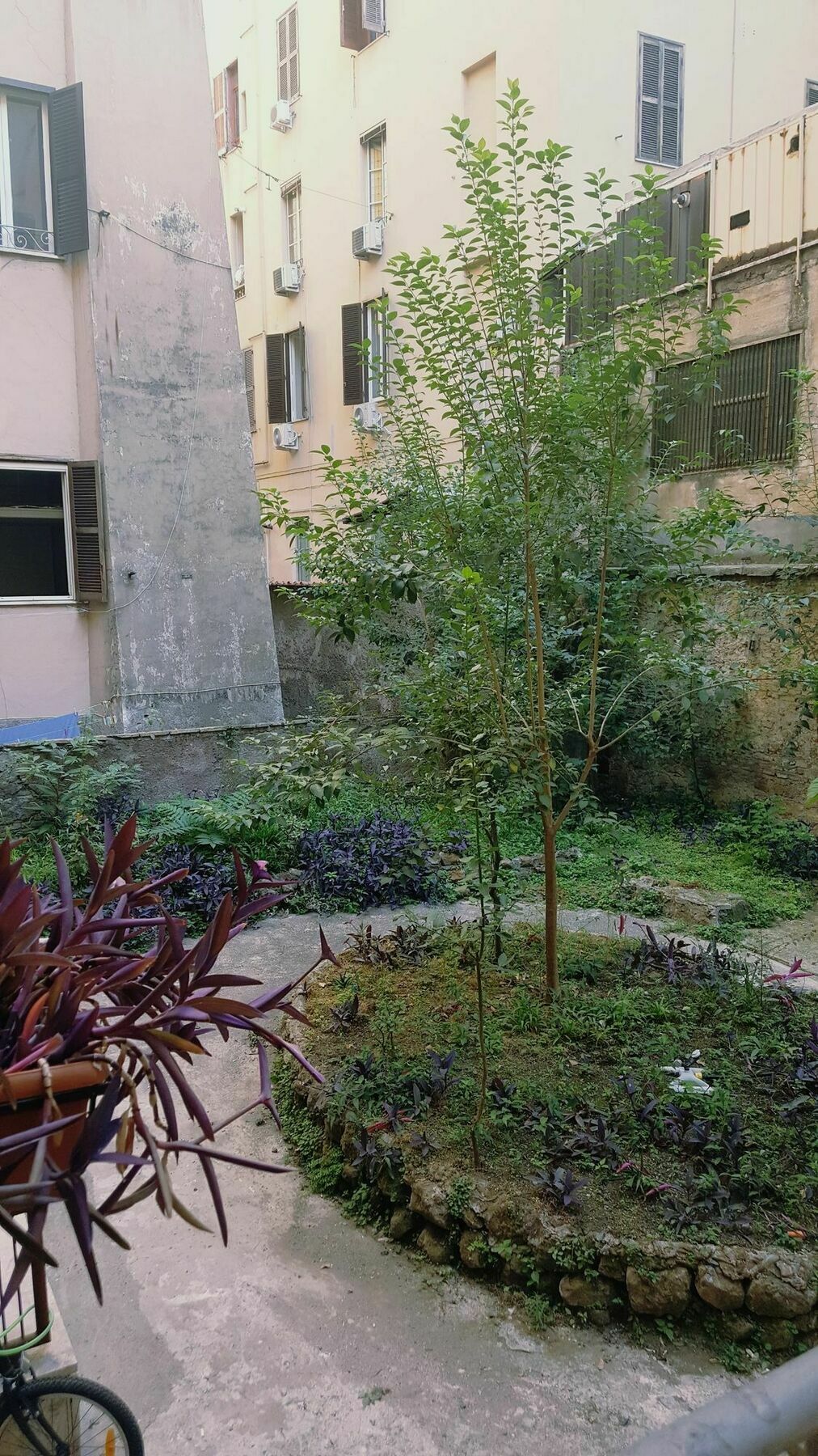 Guest house Marcelina Vaticans Rooms 2*