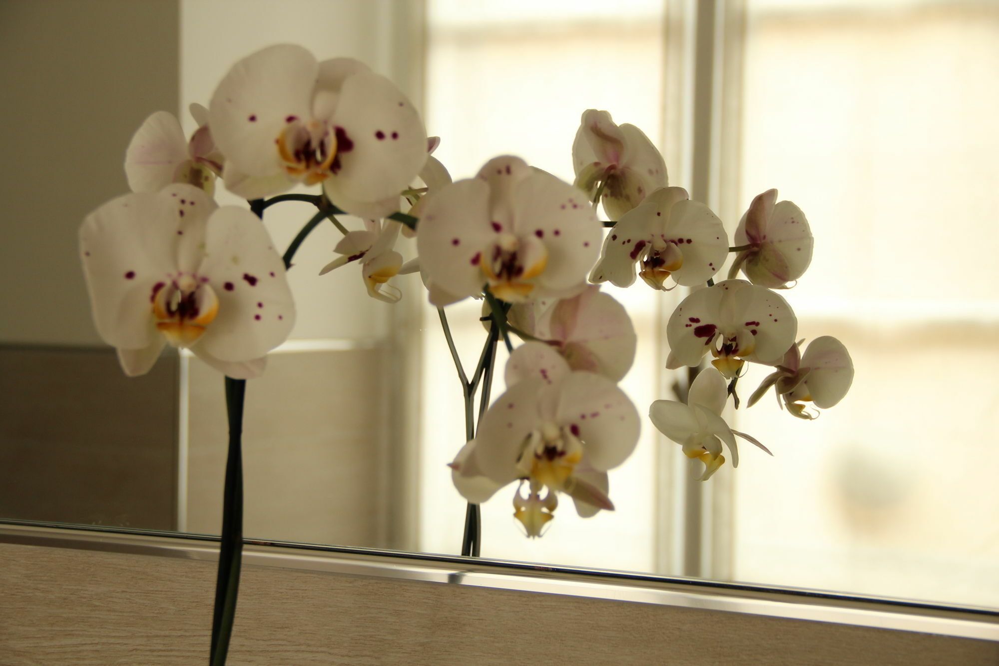 Guest house In