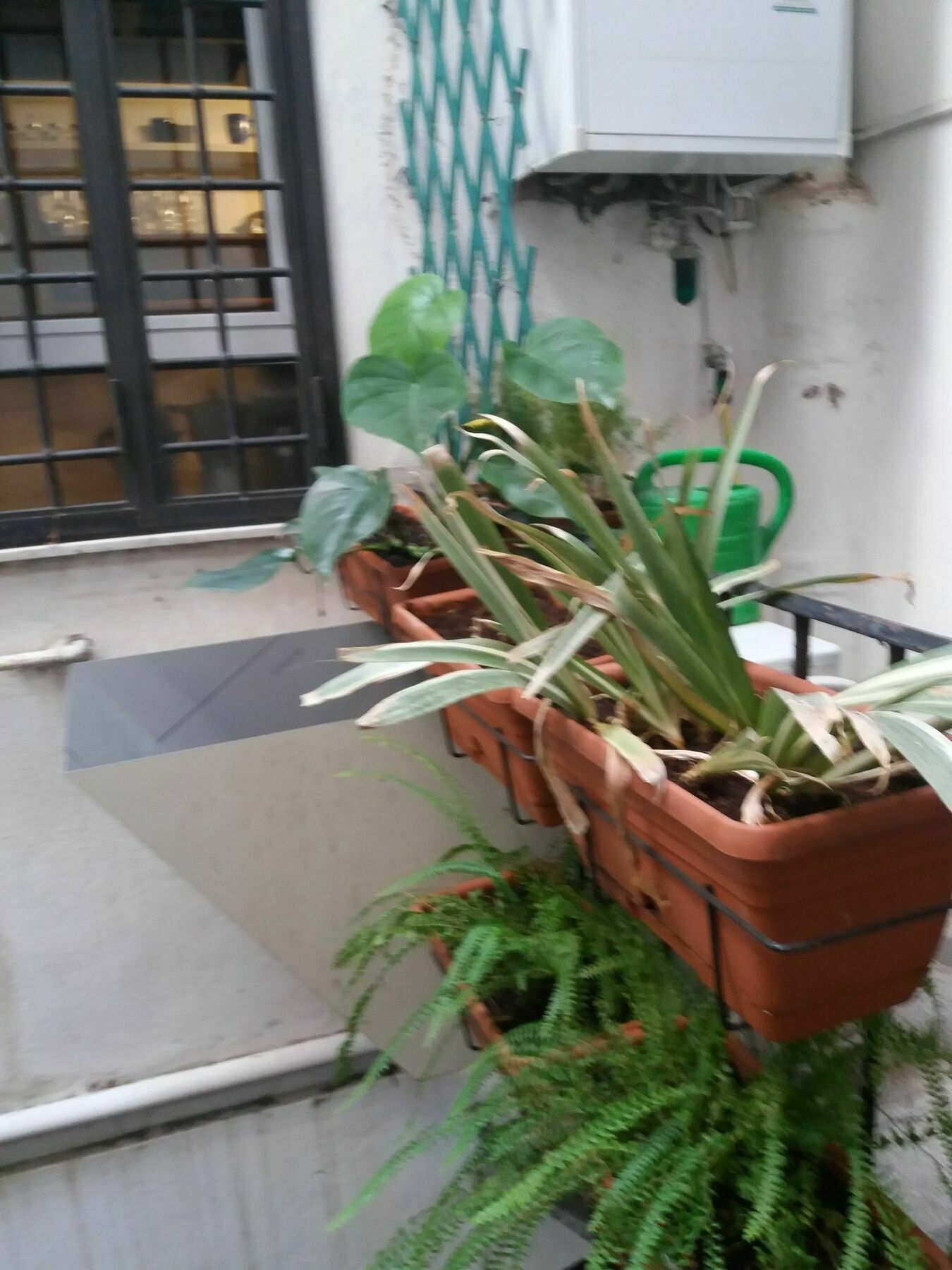 Appartamento Campofiori *