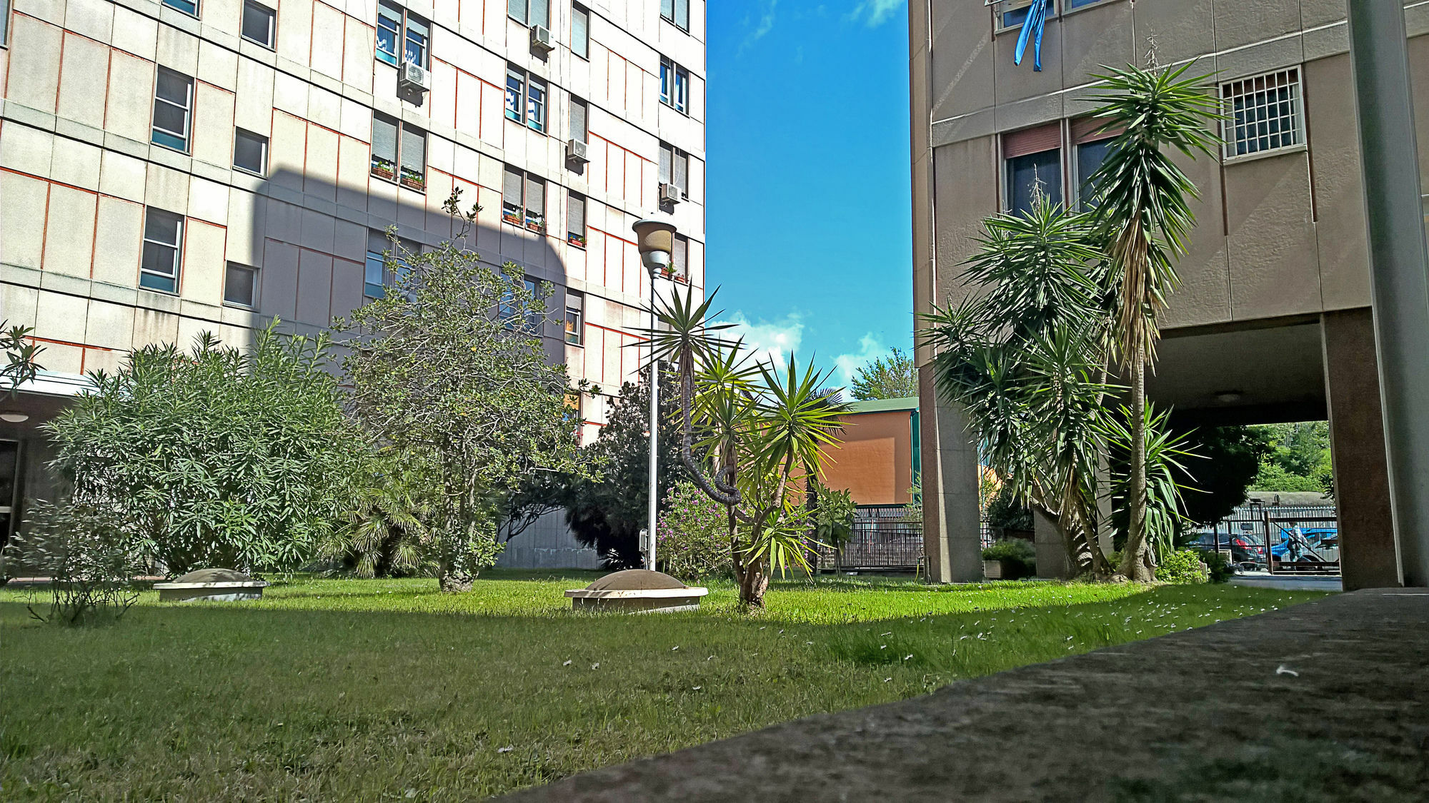 Guest house Ecohouse & Bioveg Cafe Rome