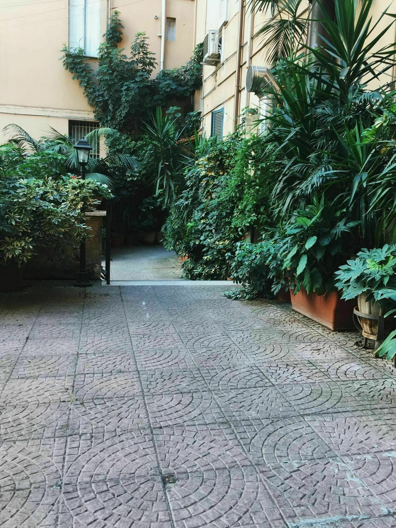 Roman Guest house Rome