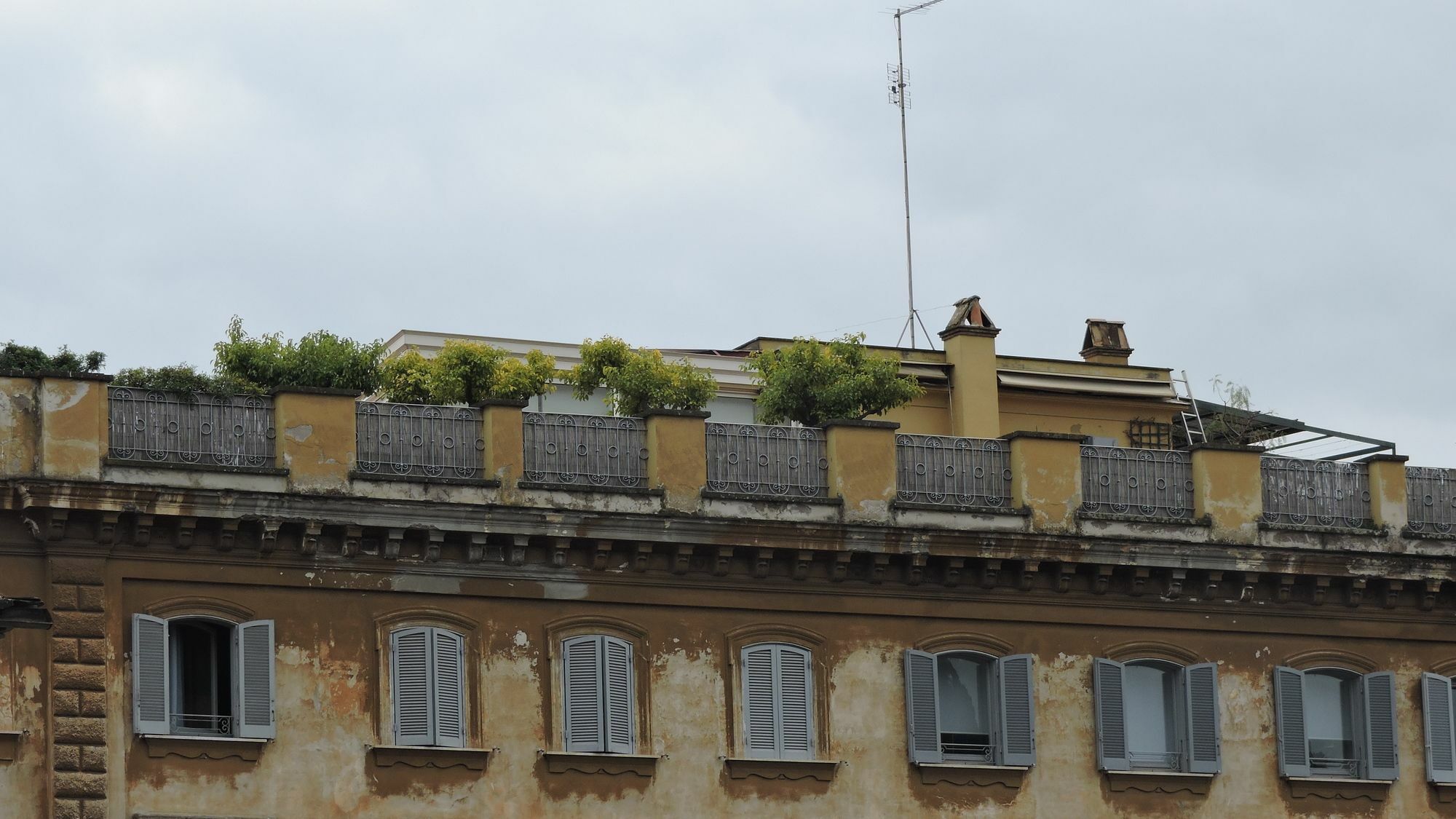 Guest house Foro Luxury