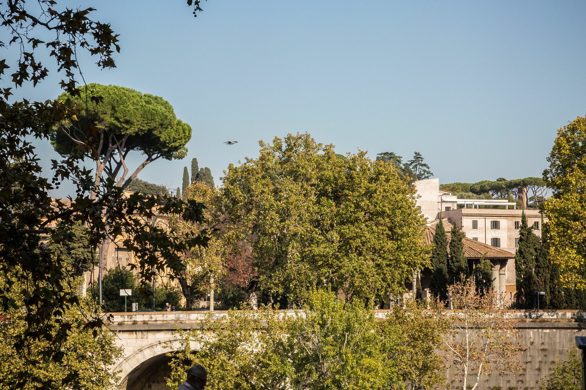 Palazzo Baj In Trastevere Guest house