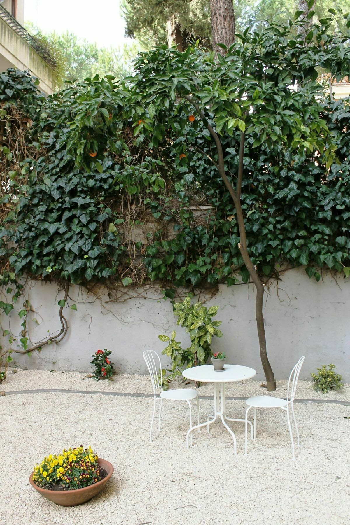Relais Circo Massimo Guest house Rome