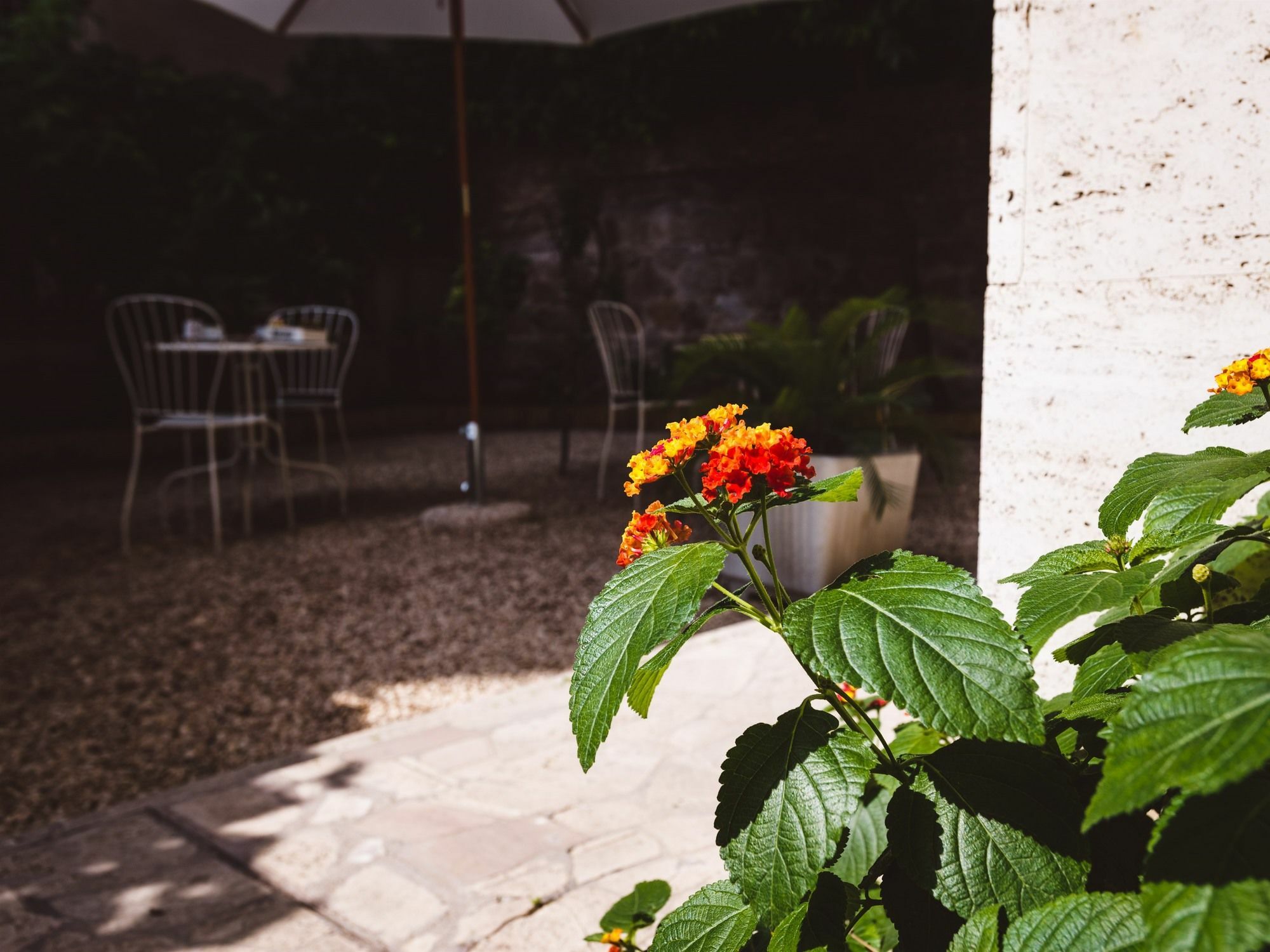 Guest house Relais Circo Massimo Rome