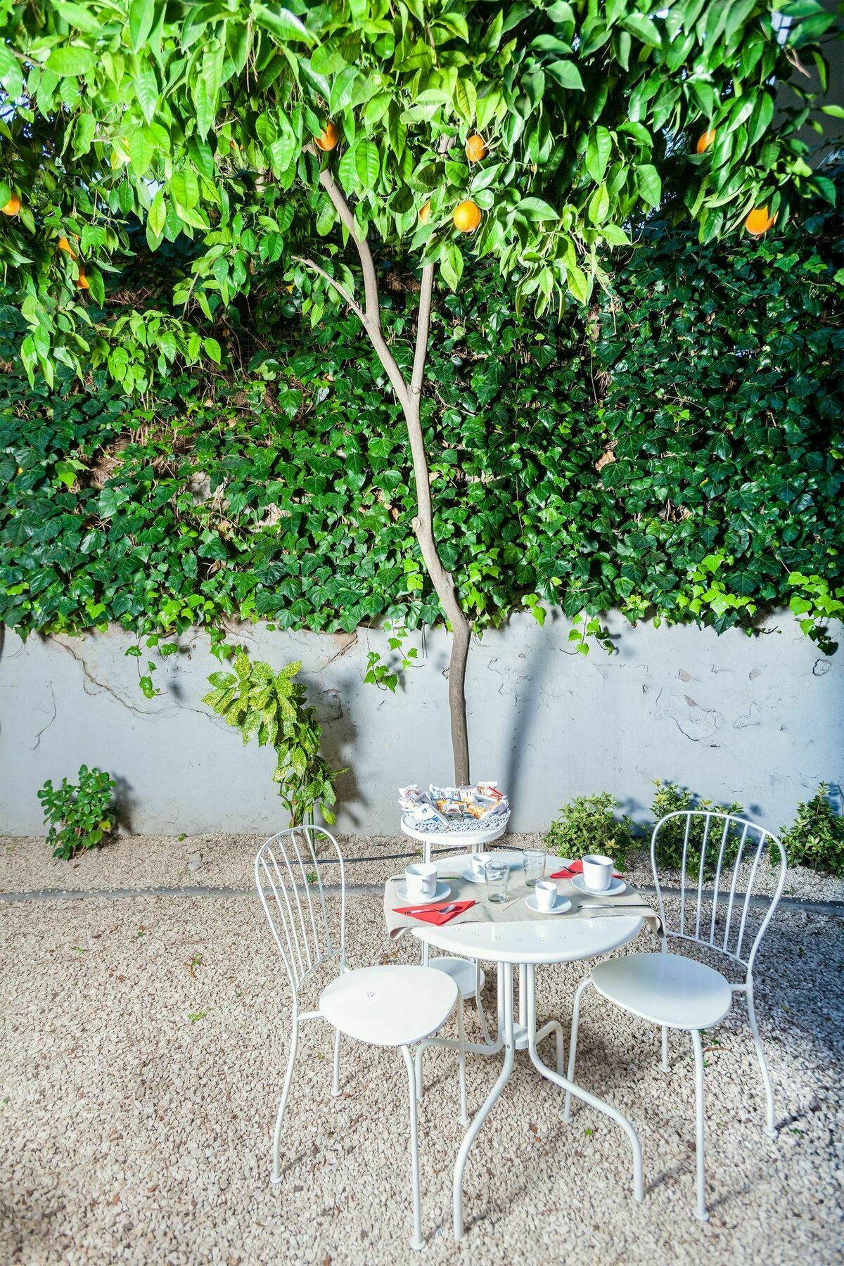 Relais Circo Massimo Guest house Rome